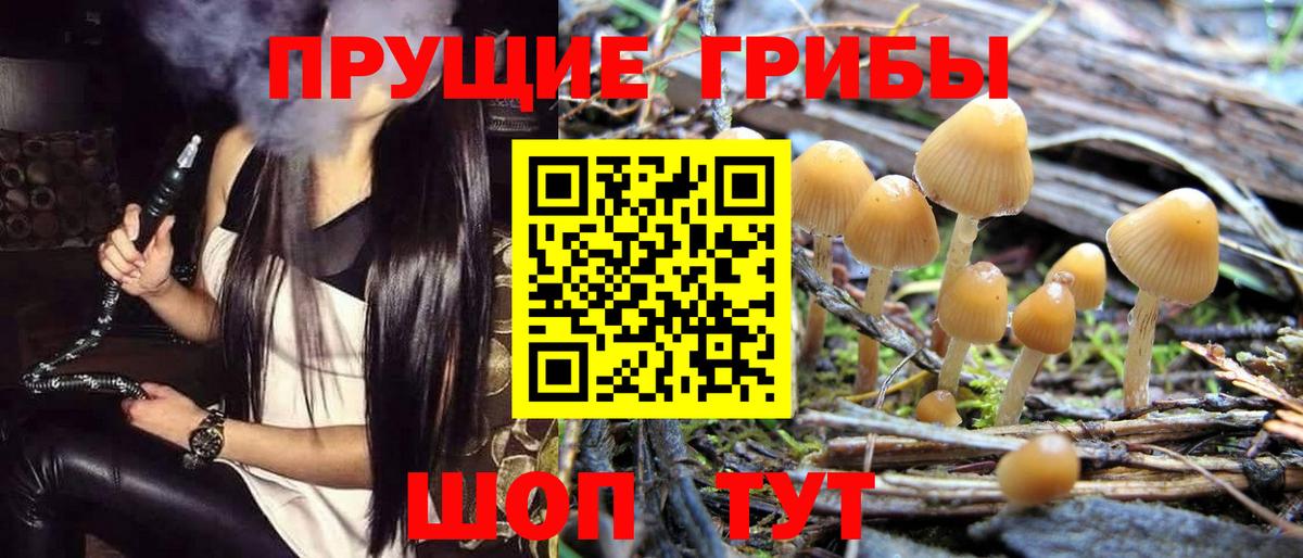Галлюциногенные грибы MAGIC MUSHROOMS Губкин